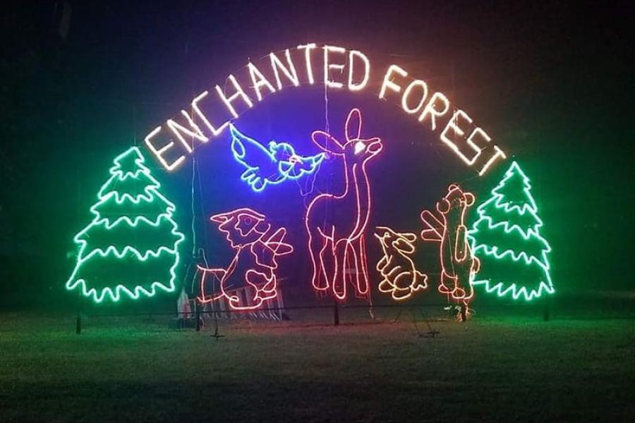 An image of the Enchanted Forest sign with two pine trees and animals lit up at nighttime.