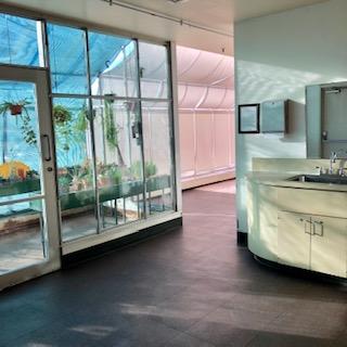 An image of the greenhouse and a sink area in the alcove on the 4th floor at the Sermon Center.