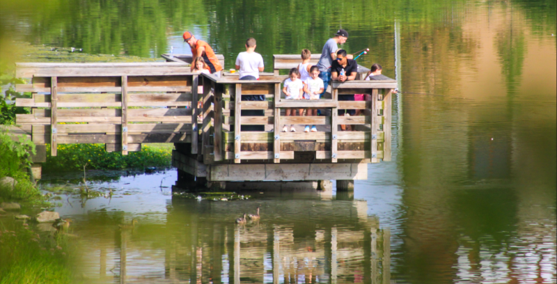 An image of families fishing at the end of the pier at Waterfall Park.