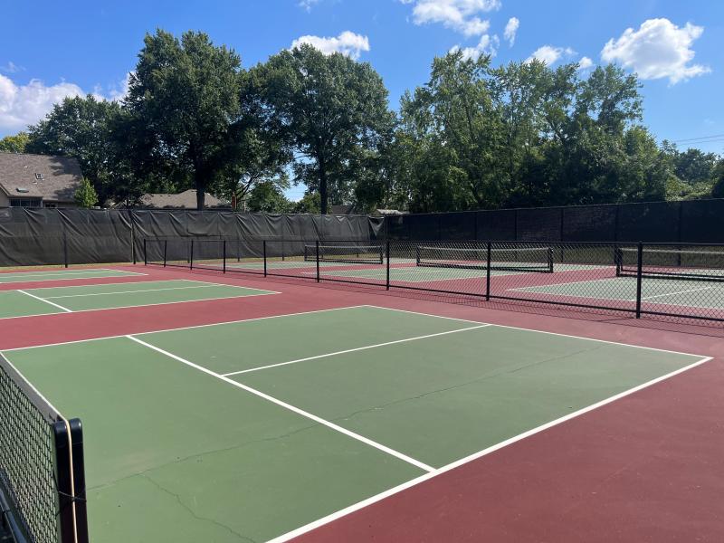 An image of green pickleball courts surrounded by black fencing on a sunny day at Blackburn Park.