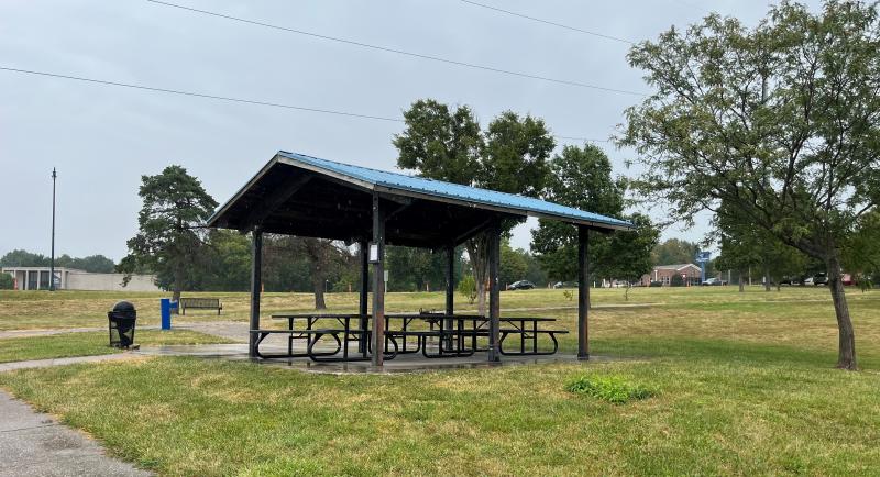 An image of a small shelter with three picnic tables and a tree nearby at McCoy Park.