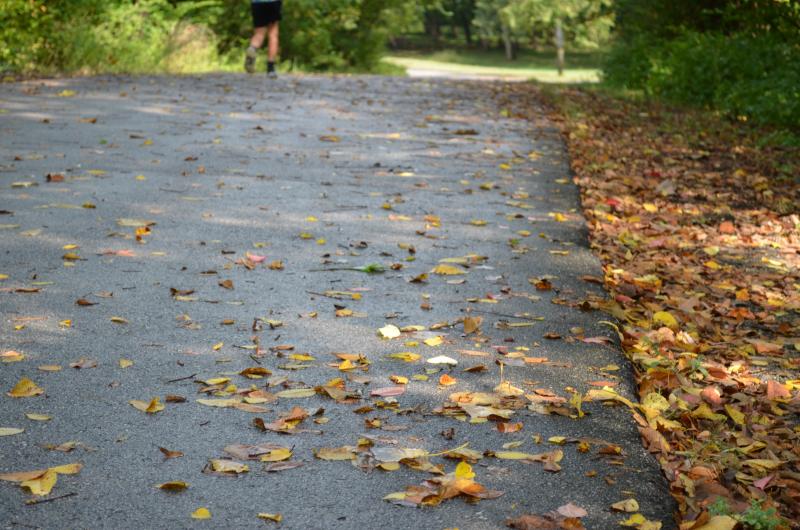 Image of a person walking down the trail with fall leaves